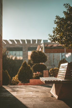 A vertical shot of a bench in a park surrounded by trees and bushes under the sunlightの写真素材