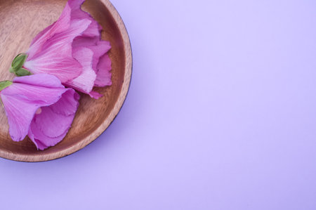 A close up of two velvet roses in brown ceramic bowl on a yellow isolated backgroundの写真素材