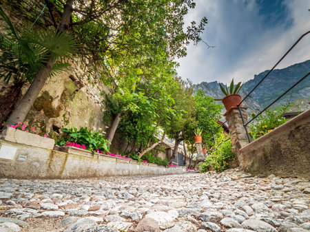 Limone sul Garda City shape with flowers during summer timeの写真素材