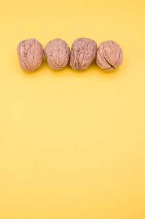 A vertical shot of four walnuts in shell isolated on a yellow backgroundの写真素材