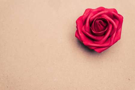 A close up of a red rose isolated on a pink background with free spaceの写真素材