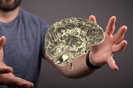 A closeup shot of a digital human brain between handsの写真素材