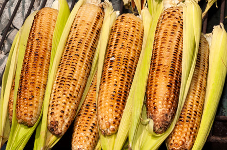 Organic Grilled Corn in Guatemala, Street vending of roasted corn, informal economy, fast food,...