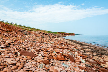 A beautiful view of a shore with pebblesの写真素材