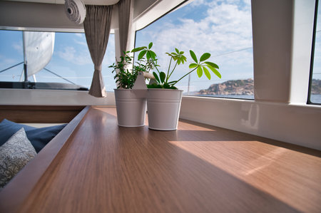A closeup shot of a patio with two pots of flowers on a sunny dayの写真素材