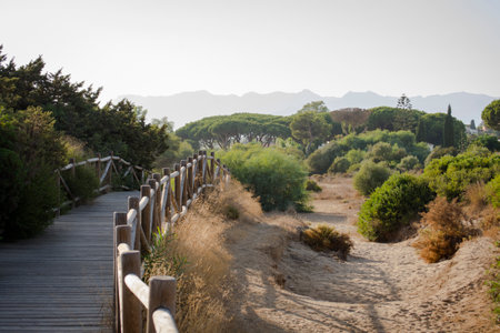 A wooden walkway in the Artola beach in Andalusia, Spainの写真素材