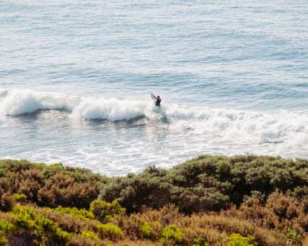 A landscape of the sea waves with a person surfing on them on a sunny dayの写真素材