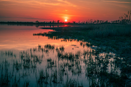 A beautiful view of a lake surrounded by greens gleaming under the sunsetの写真素材