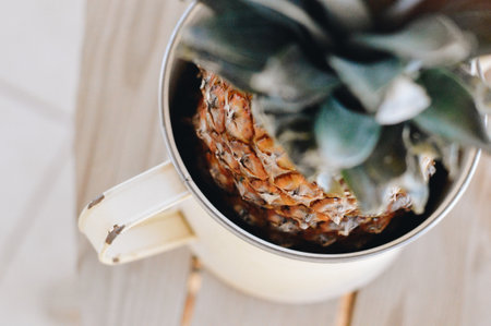 A top view of a watering can with a pineapple