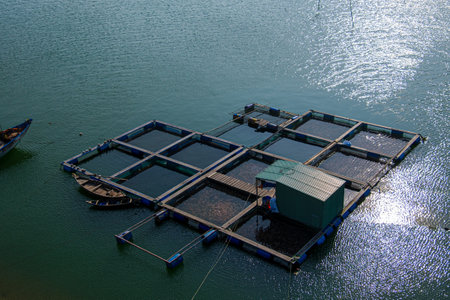 An aerial view of a fish farm near Thanh Nam, Vietnamの写真素材