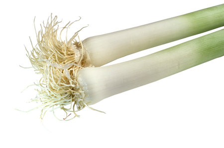 Leeks on white background very nutritious.の写真素材