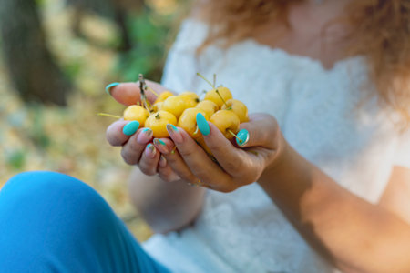 A bunch of young ripe small apples is in the woman's hands. The first autumn harvest of ranetki.の写真素材