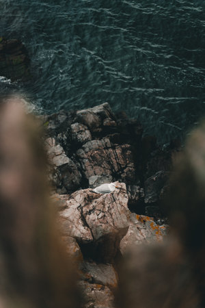 A selective focus shot of dry rocks and beautiful seascapeの写真素材