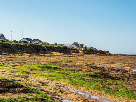 a mesmerizing view of hilbre island river with moss in wirral, ukの写真素材