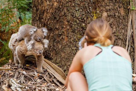 A woman looking at a koala carrying its baby in a forest in the daylightの写真素材