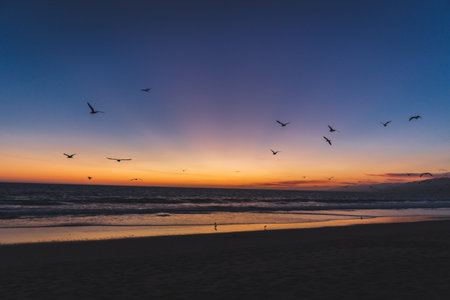 The dramatic sunset on the beach and flying birdsの写真素材