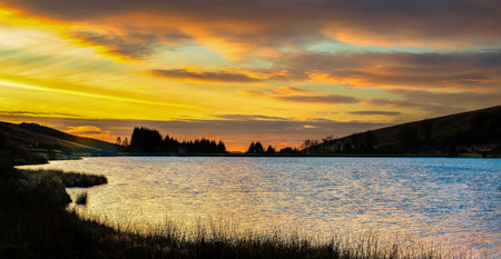 A landscape of a lake surrounded by trees under a cloudy sky during the sunriseの写真素材