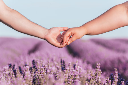A closeup shot of a male and female holding hands in a field full of purple flowersの写真素材