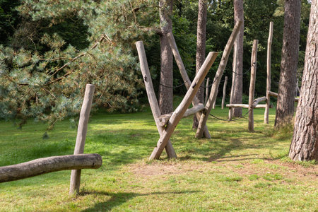 A closeup shot of an obstacle route in the forestの写真素材