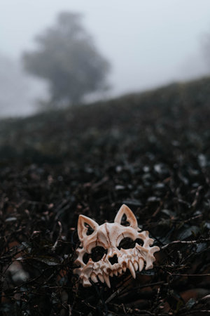 A vertical shot of a mask look like a skull of a wolf on a dark background