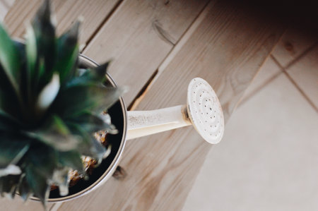 A top view of a watering can with a pineappleの写真素材