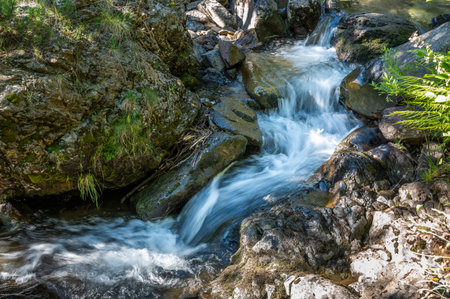 High mountain river in Andorraの写真素材