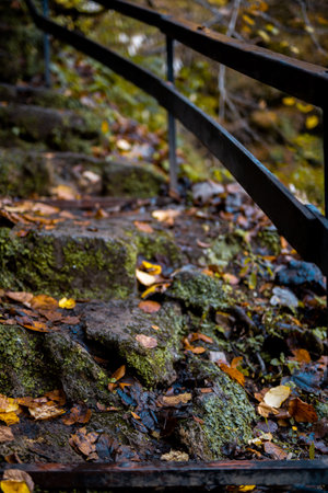 The mossy stone stairs with rusty metallic railings in the forest