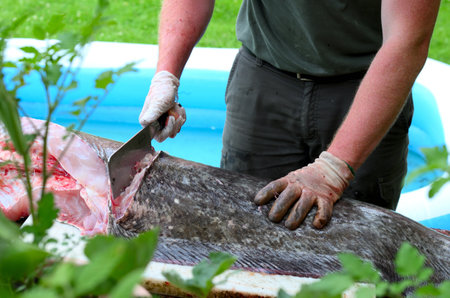A man cutting a fish for cooking