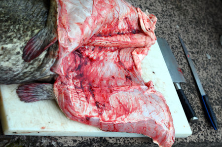 A closeup shot of a fish before cooking