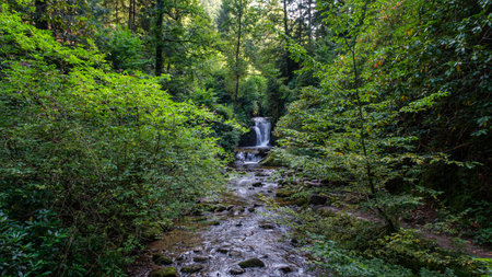 A breathtaking view of the Geroldsau Waterfall in the Black Forest, Germany