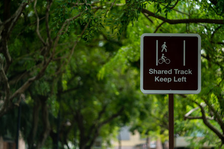 A pedestrian and cyclist shared track sign on the background of tree branchesの写真素材
