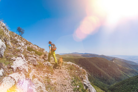 A young male Caucasian tourist hiking in the mountains with a backpack and dog in summerの写真素材