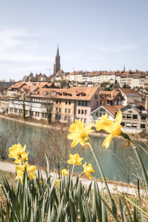 A scenic view of the Bern old town across the water, Switzerland