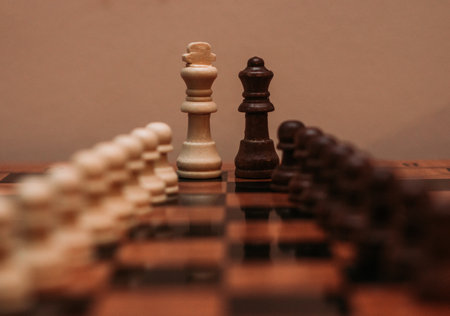 A closeup shot of chess figurines with King and Queen in the middleの写真素材