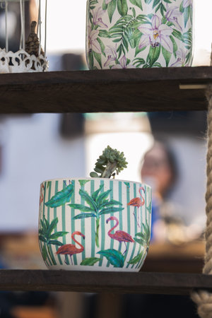 A closeup shot of houseplants in craft pots on wooden shelvesの写真素材