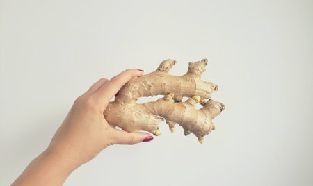 A closeup shot of a ginger rhizome in a woman's hand on a white backgroundの写真素材