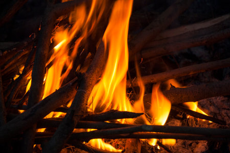 Campfire, fire with branches of dry tree in Guatemala.