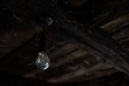 An eerie scenery of a broken light bulb hanging from a wooden roof covered in spider websの写真素材