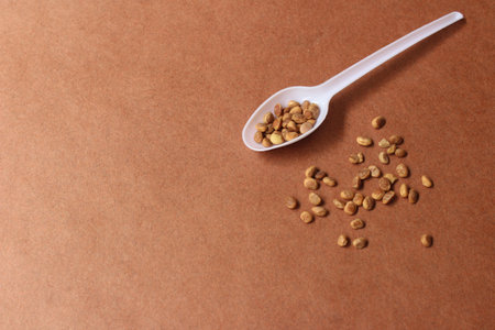 Chironji seeds also known as charoli or cuddapah almonds on a spoon and scattered against brown backgroundの写真素材