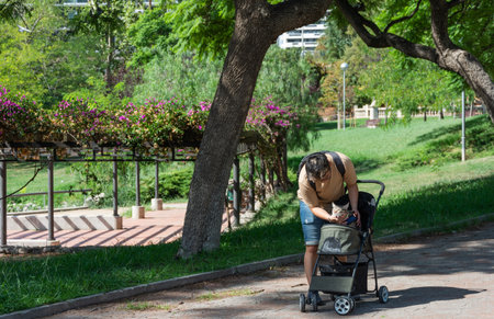 A shot of a Hispanic young person taking their cat for a walk in the park in a stroller on a sunny dayの写真素材