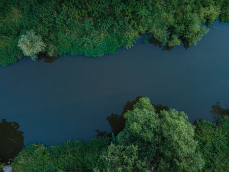 An aerial view of a deep river in a green forest