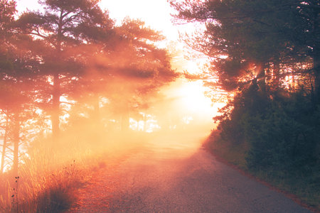 A mesmerizing view of an unpaved road with a brilliant sunriseの写真素材