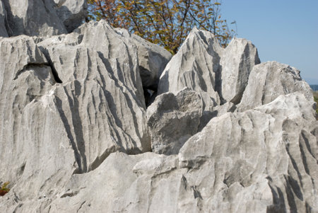 Karst formation on Adriatic coast of Northern Italy - Province of Triesteの写真素材