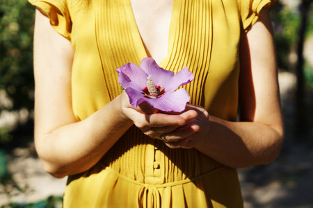 A woman in a yellow dress holding a fresh purple hibiscus flower in a parkの写真素材