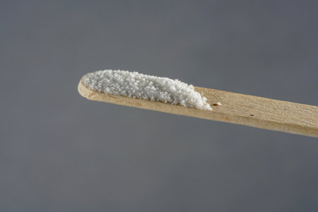 The salt on the stickの写真素材