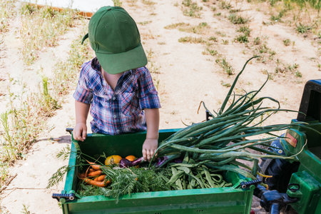 A closeup of the little boy working in the garden.の写真素材