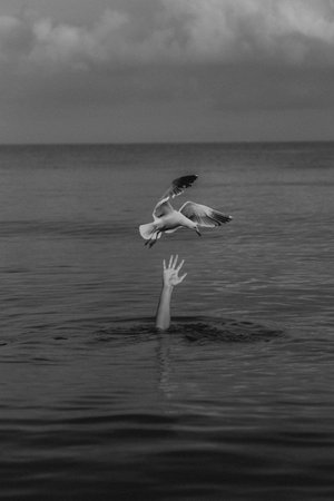 A hand reaching out of the water and trying to catch a flying gullの写真素材