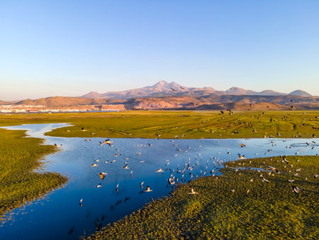 An aerial shot of wetlandsの写真素材