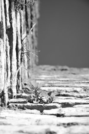 A railway station old black and white nostalgiaの写真素材