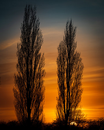 The sunset sky over the field with silhouettedの写真素材